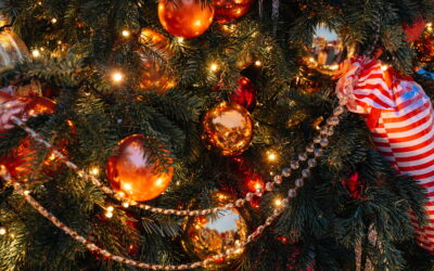 Happy Holidays from Spring Green
